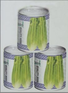 供应文图拉－芹菜种子
