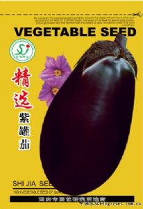 供应精选紫罐茄—茄子种子