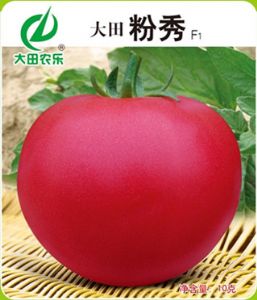 供应大田粉秀——番茄种子