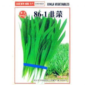 供应86-1韭菜-韭菜种子