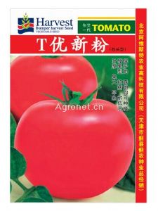 T优新粉-番茄种子