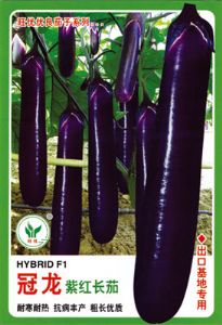 供应冠龙紫红长茄——茄瓜种子