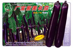 供应广宝紫美长茄—茄子种子