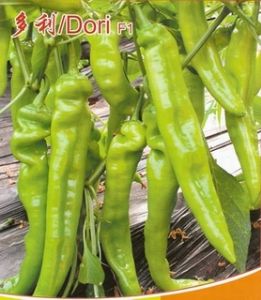 供应多利（Dori，F1）—辣椒种子