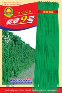 供应翡翠9号—豇豆种子