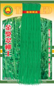 供应金奖翠柳王—豇豆种子
