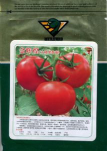 供应金辉煌（高抗TY病毒）—番茄种子
