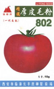 供应厚皮毛粉802—番茄种子