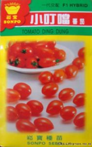 供应小叮当—番茄种子