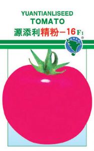 供应源添利精粉-16——番茄种子
