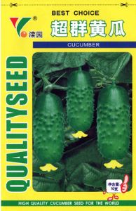 供应超群—黄瓜种子
