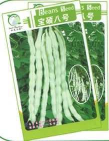 供应宝硕八号—菜豆种子