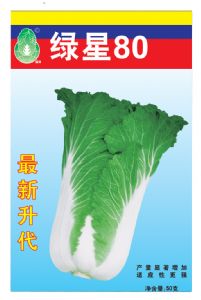 供应绿星80—白菜种子