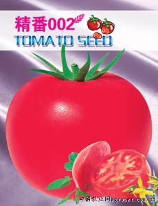供应精番002——番茄种子