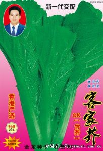 供应香港严选客家芥（OK竹芥）—芥菜种子