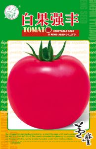 供应白果强丰——番茄种子
