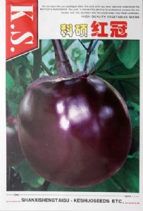 供应科硕红冠—茄子种子
