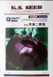 供应精选天津二苠茄—茄子种子