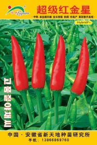 供应超级红金星－辣椒种子