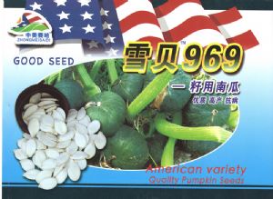 供应雪贝969—南瓜种子