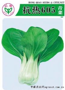 供应抗热605青菜—青梗菜种子