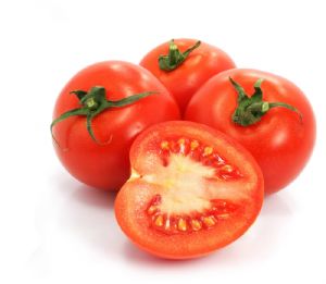 供应番茄种苗