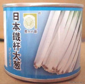 供应日本铁杆大葱—葱种子