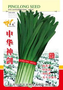 供应中华神剑—韭菜种子