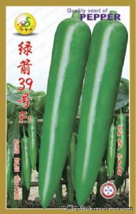 供应绿箭39号F1—甜椒种子