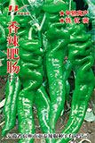 供应香辣肥肠F1—螺丝椒种子
