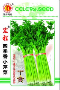 四季香小芹菜-芹菜种子