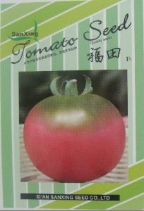 供应福田－特种番茄种子