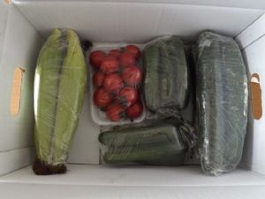 供应蔬菜组合装黄瓜，玉米，番茄
