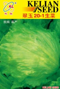 供应翠玉20-1生菜—莴苣种子