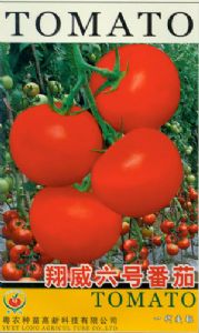 供应翔威六号—番茄种子