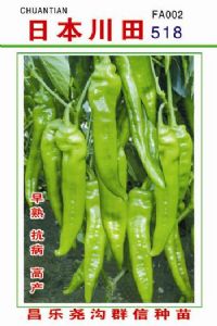 供应日本川田518——辣椒种子