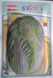 供应SA678—白菜种子 