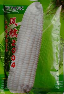 供应凤糯2004-糯玉米种子