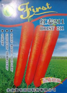 供应红泰211-胡萝卜种子