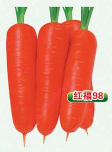 供应红福98—胡萝卜种子
