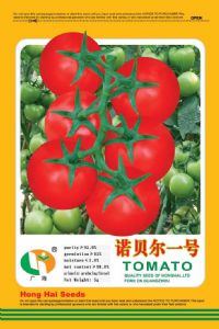 供应诺贝尔一号—番茄种子