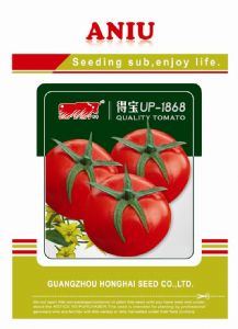供应得宝UP—1868—番茄种子