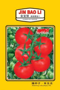 供应金宝丽—番茄种子
