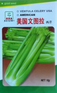 供应美国文图拉—芹菜种子