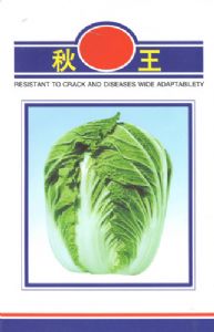 供应秋王—白菜种子
