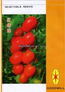 供应红娇妹-番茄种子