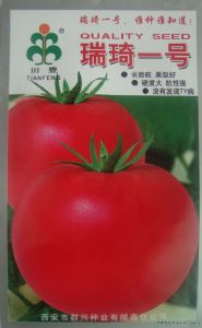 供应瑞琦一号——番茄种子