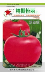 供应精棚粉丽—番茄种子