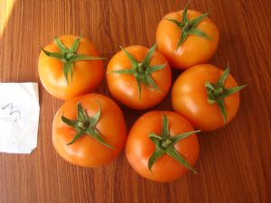 供应红艳603—番茄种子