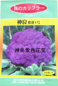 供应神良紫色花菜